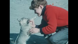 Мои каникулы (1973) | Комедия, детский, семейный, короткометражный