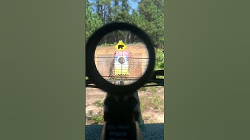 Range finder, and scope view. How it looks from using them.