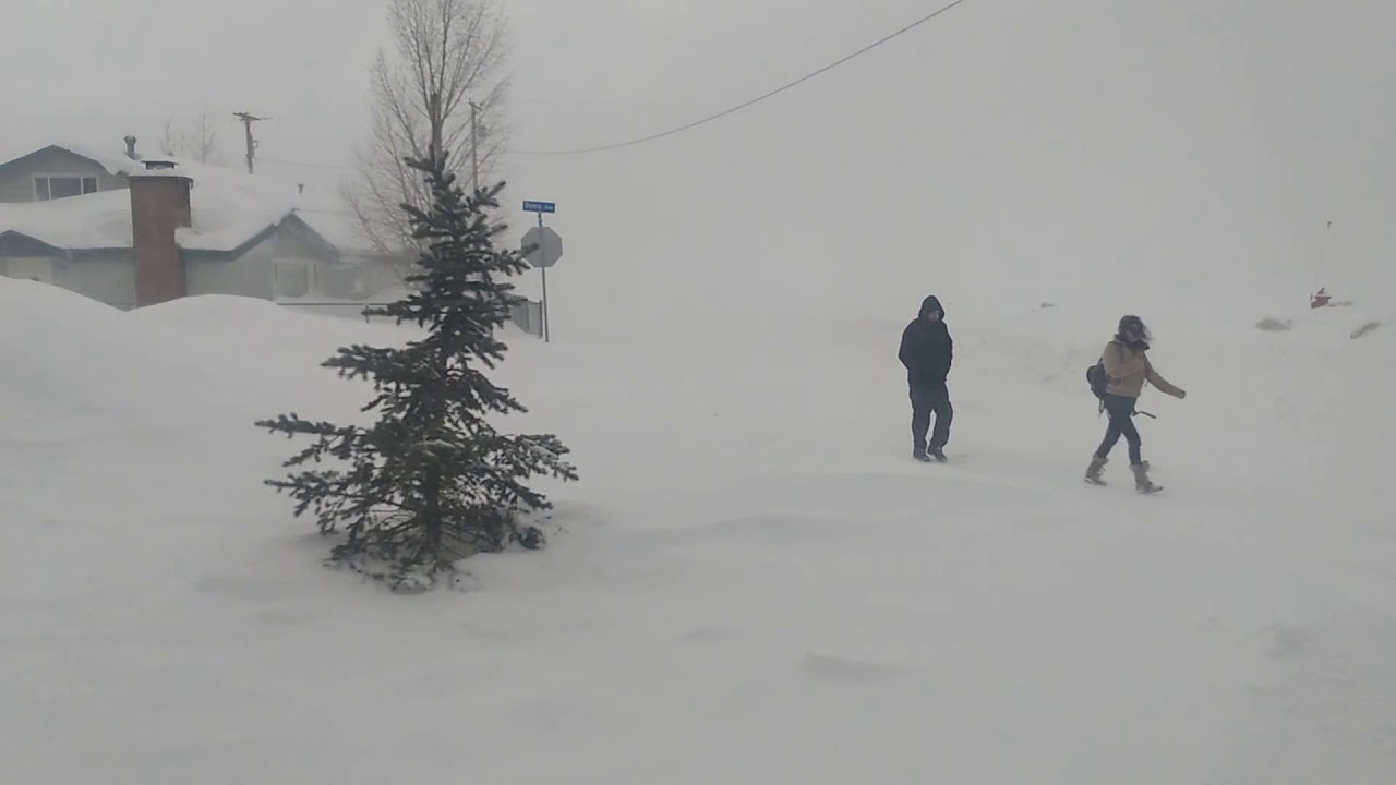 Timelapse of a ground blizzard and heavy snow here in Fraser, Colorado