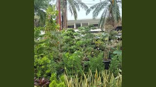 Betapa Banyak Air Mata