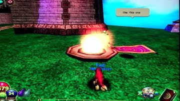 Wizard 101: mount/pet glitch