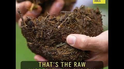 Elephant Dung Gin | @shortdocumentary3785