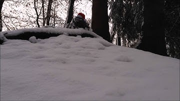 BOS RC Racing - Axial SCX10 Trail Honcho winter trailing w/ selfmade snowchains