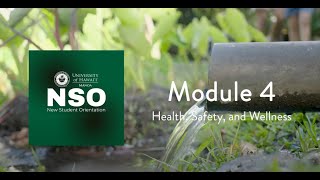 Module 4: Health, Safety & Wellness Wealth