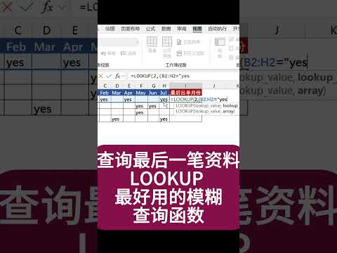 查詢最後一筆資料 lookup 最好用的模糊查詢函數 模糊匹配 查詢最後一筆匹配資料 excel 基礎教學 excel 零基礎 excel 進階查詢 excel 教學#shorts #excel