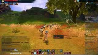 【Adri@Beta】 Tera Europe - Archer Gameplay