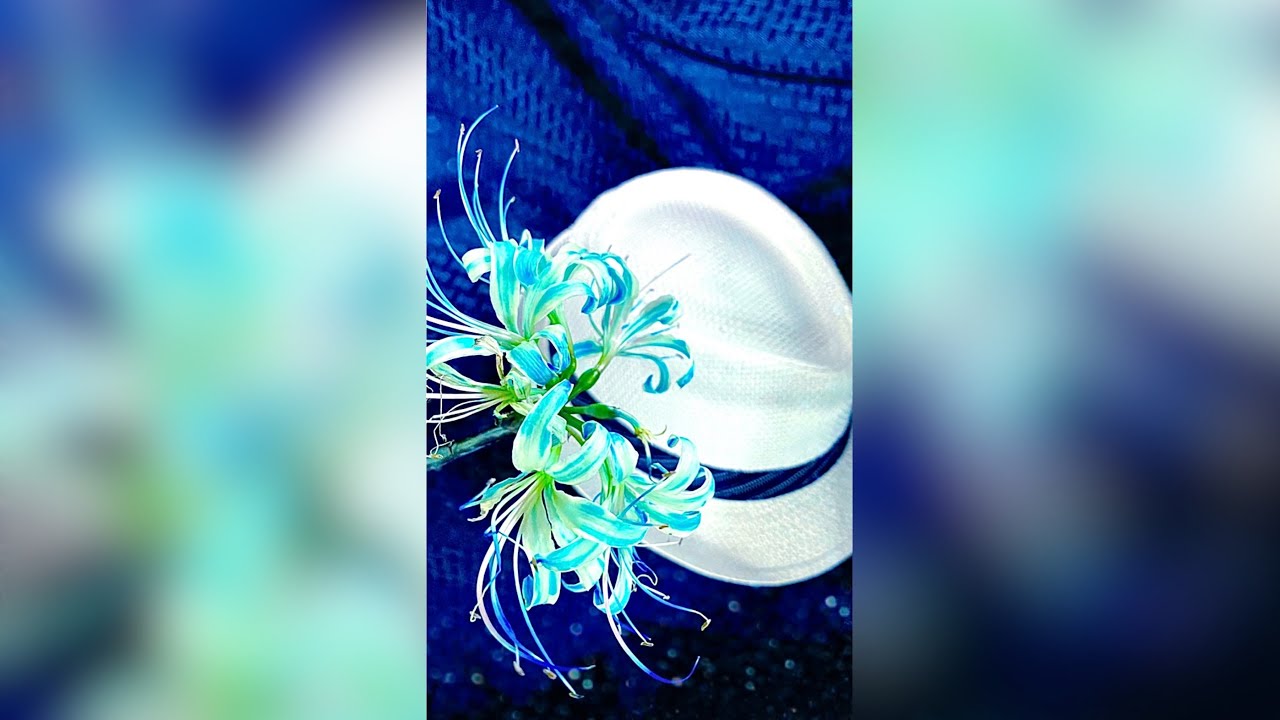 青い彼岸花 いつものアレで作ってみた Shorts Youtube 青い彼岸花 いつものアレで作ってみた Shorts Youtube