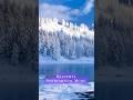 Beautiful Instrumental Music #shorts