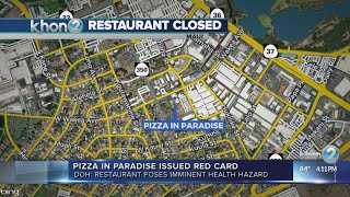 Pizza in Paradise on Maui issued red placard for health hazards