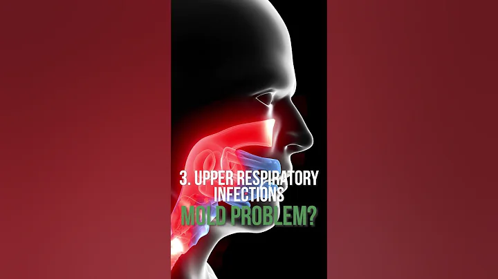 Are you surrounded by mold? Check for these 6 symptoms!