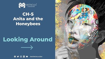 Class 4 | EVS | Chapter 5 | Anita and the Honeybees | Looking Around | #Matricula | #NCERT