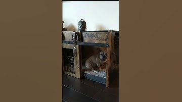 Scraping Pinterest Images to Generate Midjourney Prompts and Images