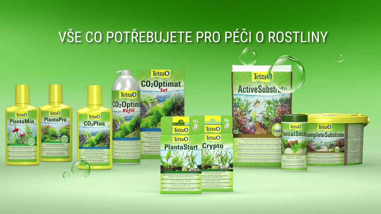 Tetra Planta Start, Tetra Planta Crypto