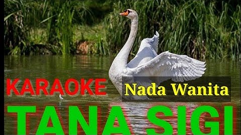 Karaoke With Liric - No Vocal TANA SIGI Nada Wanita. Bram Larengi
