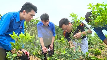 Thanh niên Việt Nam phấn đấu vừa "hồng" vừa "chuyên"