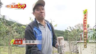 【預告】米其林段木菇山野秘藏鮮味 