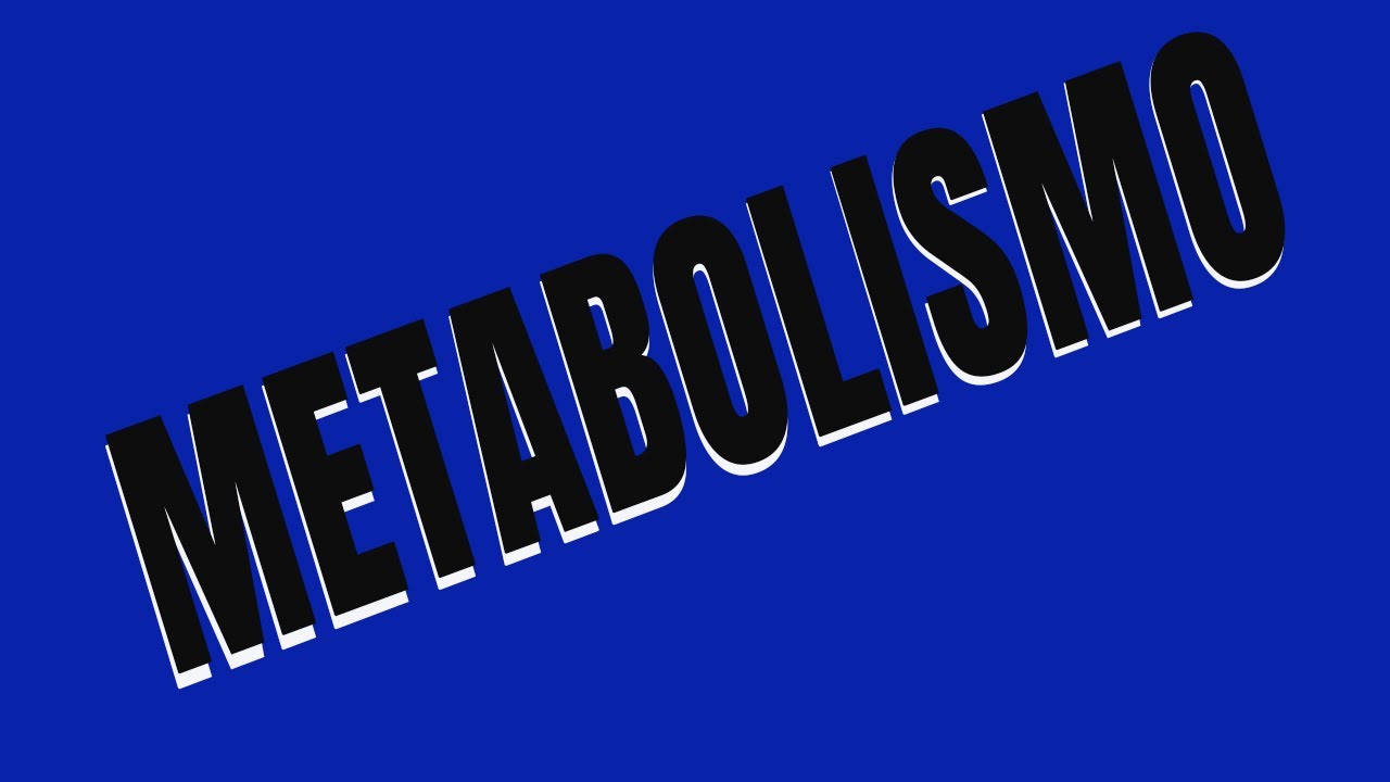 Metabolismo Anaerobico aláctico y Anaeróbico lactácido [EXPLICADO FACILMENTE]