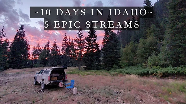 Fly Fishing Idaho - 10 days off the grid - 5 amazing streams!