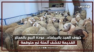 عودة بيع الأضاحي بالمجازر القديمة بالبيضاء.. وها بشحال ثمن خروف العيد