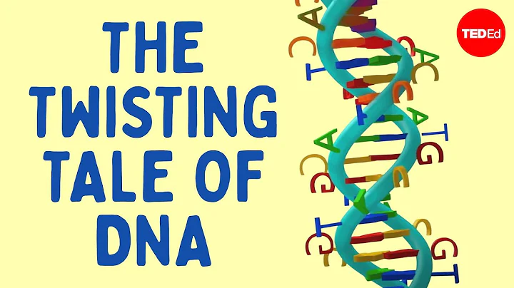 The twisting tale of DNA - Judith Hauck