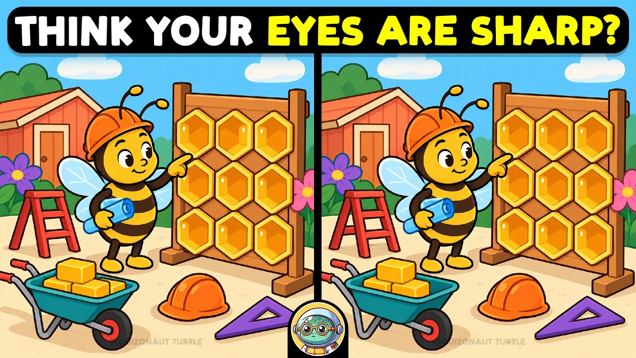 🐢🧩 Find The Difference Challenge | How Many Can You Sol… — Transcript