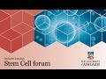 Stem cells: research milestones and more