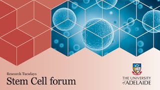 Stem cells: research milestones and more