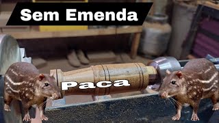 #paca #piodepaca COMO FAZER CHAMA PRA ATRAIR PACA SEM EMENDA!
