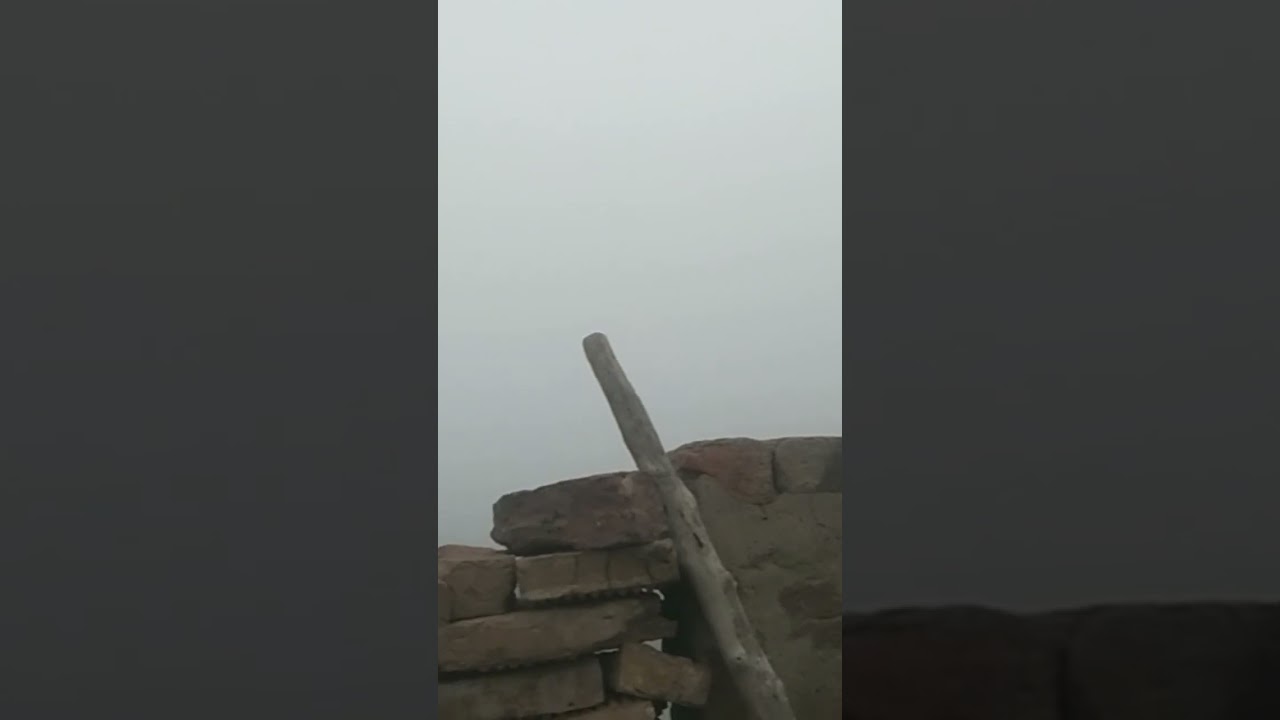 winter fog in Dadu city 11 January 2026