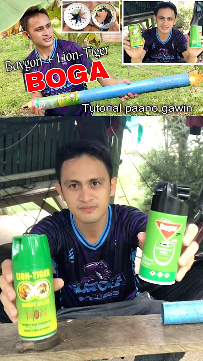 Baygon Boga