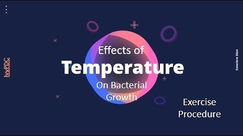 Effects of Temperature on Bacterial Growth with recording