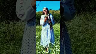 РОМАШКА БЕЛАЯ #shorts #православные песни#христианские песни#музика #православие
