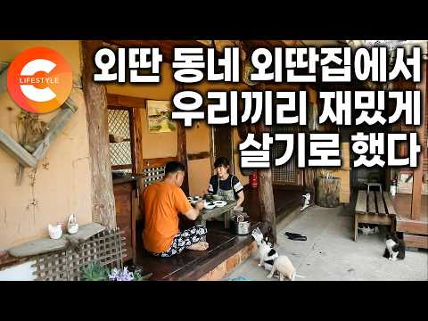 우리 <strong>보고</strong> 도시 탈출하겠다는 사람이 늘어날지" 그렇게 <strong>한국기행</strong> 촬영을 허락했다. 주인 없는 흙집을 <strong>보고</strong> 한 달 만에 이사 결심한 부부의 지리산 민박ㅣ#<strong>한국기행</strong>