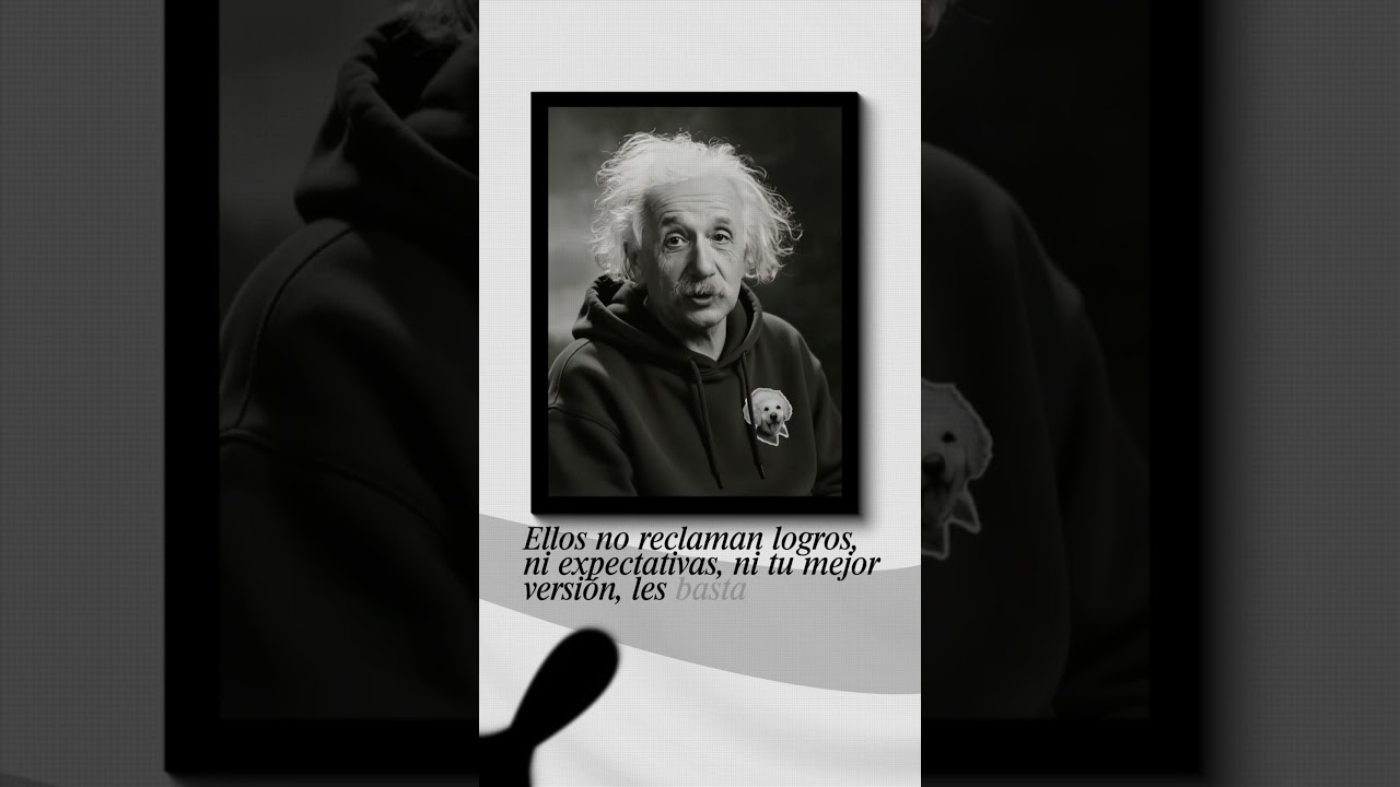 Fashion Film Minimalista | Edición en Tendencia 2026 | Campaña de Hoodies