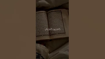 تلاوة هادئة ومريحة قرآن كريم بصوت جميل جدا Youtubeshorts 