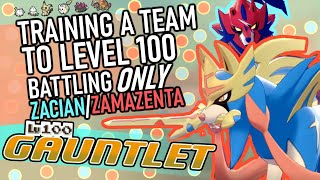 522 - Training a Team to Level 100 Battling ONLY Zacian/Zamazenta! The Level 100 Gauntlet