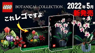 大人レゴ 「多肉植物と胡蝶蘭」2022年の新作セット10309 10311 LEGO Botanical Collection Orchid & 10309 ボタニカルコレクション 発売日や価格