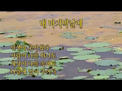 내 마지막날에 김대훈 인생아 고마웠다