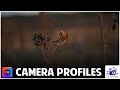 Camera Profiles In ON1 Photo Raw - How and When To Use Them