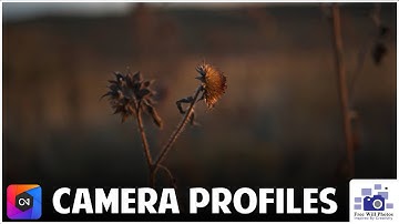 Camera Profiles In ON1 Photo Raw - How and When To Use Them