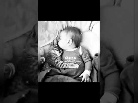 طفل يحضن قطة كتيرررررر كيووووووت على اغنية نانسي عجرم عصافير الجنه ياتوتة بالون الاسود