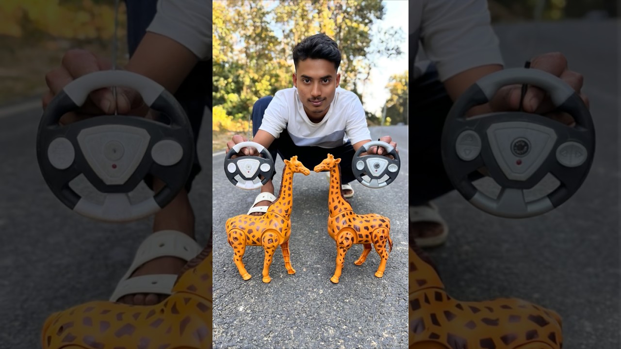 Remote Control Two Giraffe Unboxing Dese