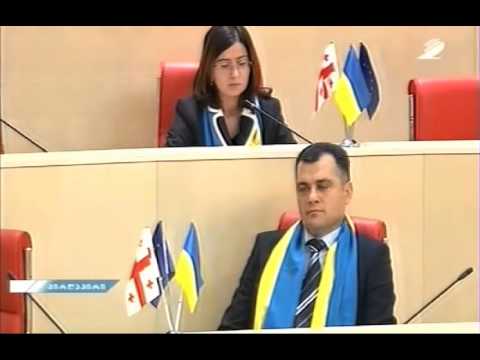 ირმა ნადირაშვილის განცხადება პარლამენტის პლენარულ სხდომაზე 27/11/2013