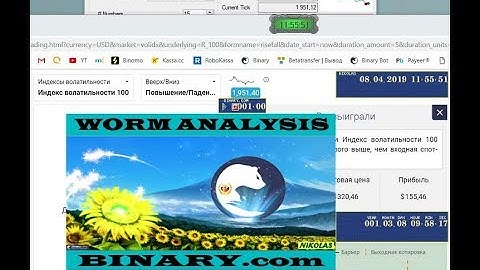 WORM Analysis Binary.com