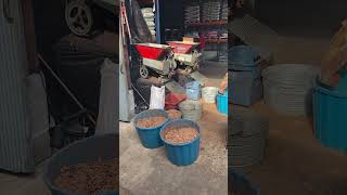 Cracking Pecans #GearBanger Wealth