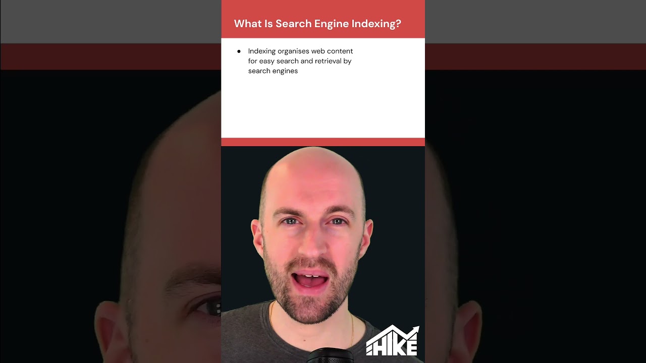 Beginners Guide to Search Engine Indexing 