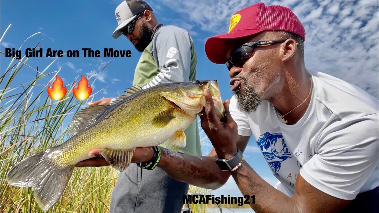 Big Girls are Moving In (Bass Fishing)