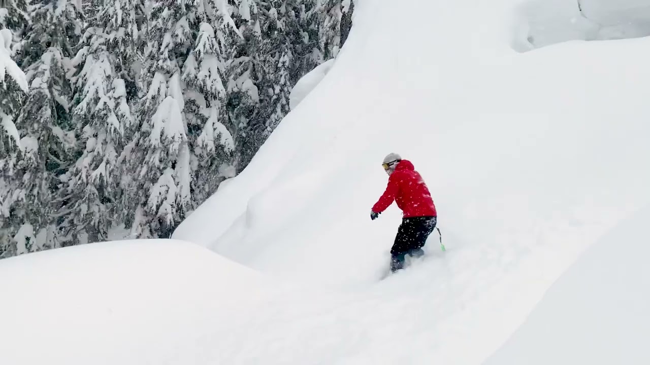 Powsurfing! 2020-21 Sharksnowsurf season recap