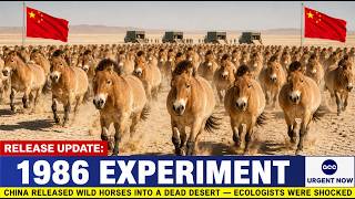 China Released Wild Horses Into A Dead Desert In 1986 — What Happened Next Shocked Ecologists