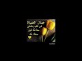 كل حبايبي يجوا